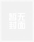 权力巅峰全文免费阅读